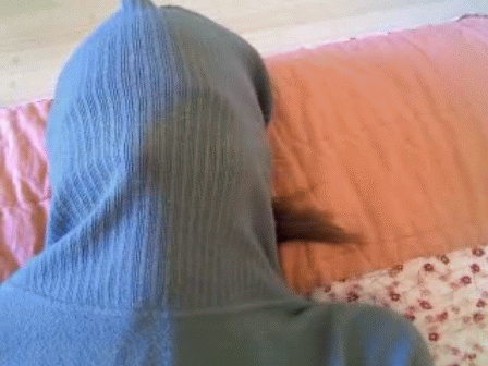 File:Turtleneck.gif