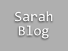 File:SarahBlog.png
