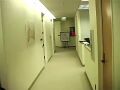 The hallway