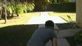 The backyard