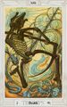 Tarot Cards are quite prevalent in the LG15 Universe. Read all about it here!