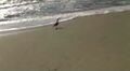 The tide coming in